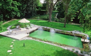 Aménager une piscine naturelle