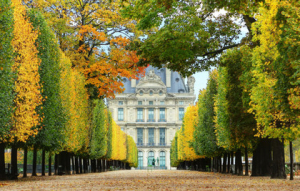 Jardin des Tuileries