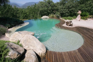 Piscines aux formes libres