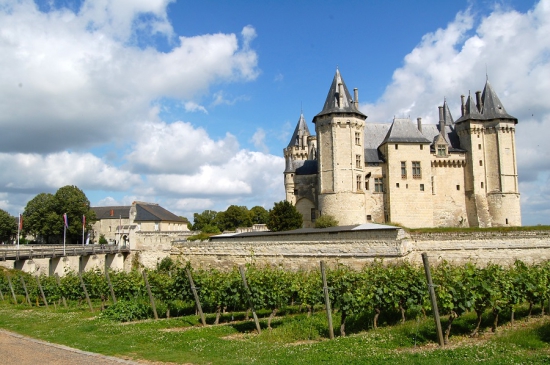 Visites des vignobles de la Vallée de la Loire